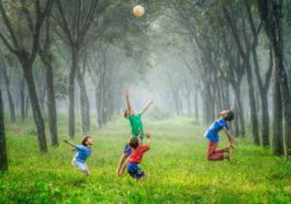 Juego en el Desarrollo Infantil niños jugando en el parque