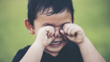 terribles dos cómo manejarlos