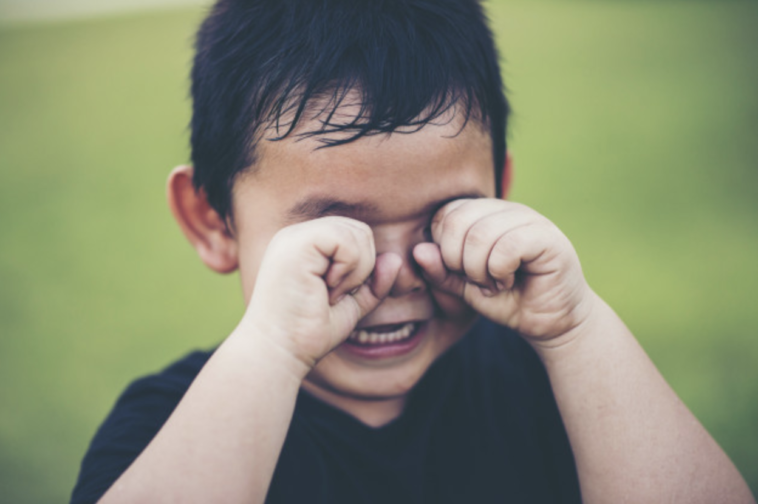 terribles dos cómo manejarlos