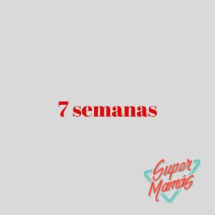 7 semanas