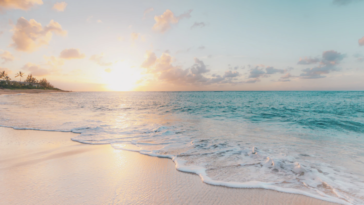 te tomas el lunes libre