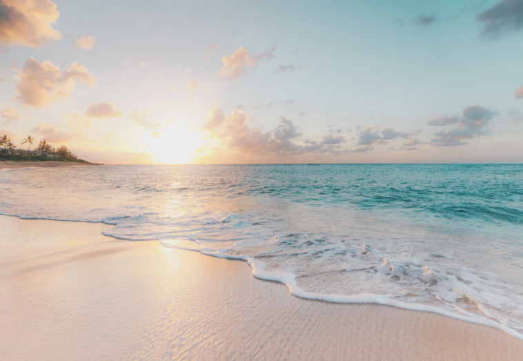 te tomas el lunes libre