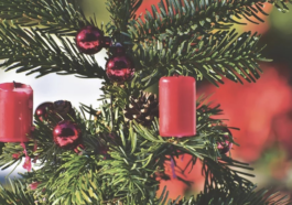 Una Forma Fácil de Recoger Las Agujas Que Suelta Tu Arbolito