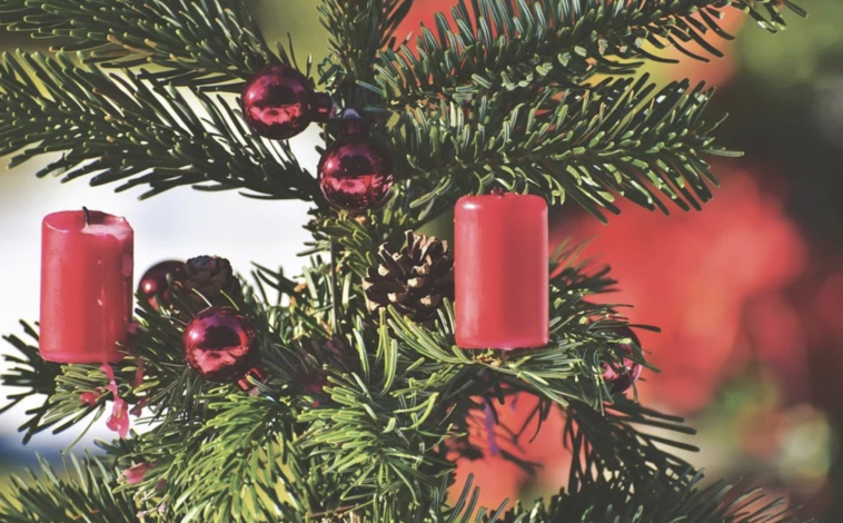 Una Forma Fácil de Recoger Las Agujas Que Suelta Tu Arbolito