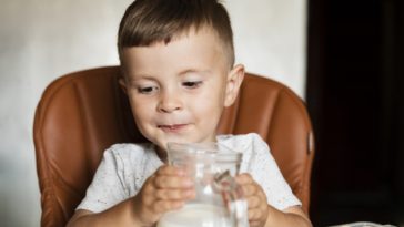 Conoce Más Sobre La Lactosa