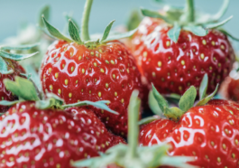 vitaminas alimentación infantil: guía nutrición esencial desarrollo niños pequeños