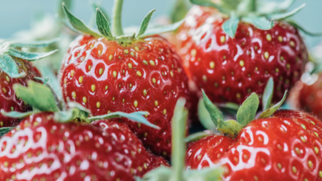 vitaminas alimentación infantil: guía nutrición esencial desarrollo niños pequeños