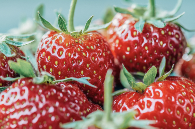 vitaminas alimentación infantil: guía nutrición esencial desarrollo niños pequeños