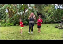 juegos en familia zucaritas