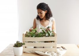 tips para no dejar morir tus plantas