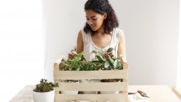 tips para no dejar morir tus plantas