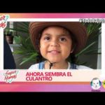 huerto en casa supermamas manualidades