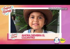 huerto en casa supermamas manualidades