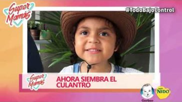 huerto en casa supermamas manualidades