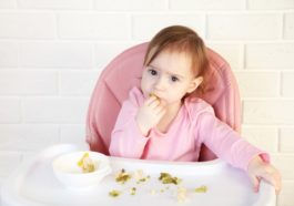 Cómo Iniciar Con BLW