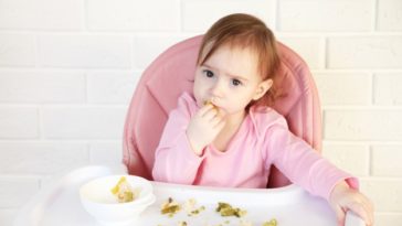 Cómo Iniciar Con BLW