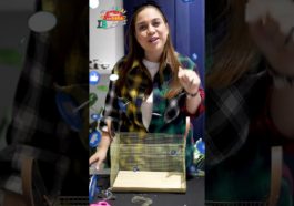 Manualidades decoración hogar - canasta artesanal diseño interior