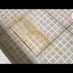 eliminar los malos olores en casa