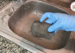 Limpieza profunda lavaplatos - guía restauración electrodomésticos cocina