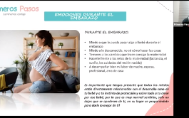 Maternidad primeriza emociones - guía autocuidado mamá nueva