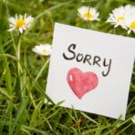 La Importancia De Enseñarle A Mi Hijo A Pedir Perdón