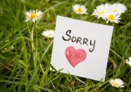 La Importancia De Enseñarle A Mi Hijo A Pedir Perdón