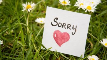 La Importancia De Enseñarle A Mi Hijo A Pedir Perdón