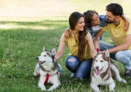 Ideas Para Pasar Tiempo En Familia Aprovechando Las Vacaciones