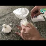 Closets Libres de Humedad