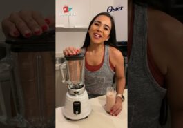 licuadora osterizer