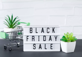Ofertas Black Friday : Organiza y Ahorra con las Mejores Promociones