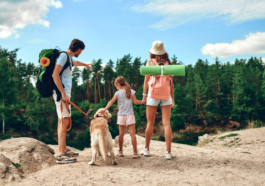 Hábitos saludables familia - guía bienestar madres e hijos 1