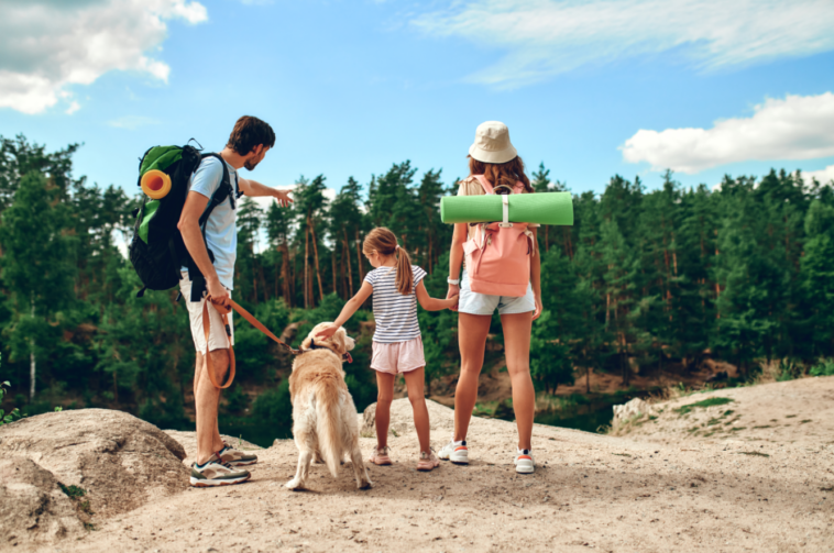Hábitos saludables familia - guía bienestar madres e hijos 1