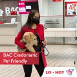 Banca pet friendly - sucursales bac credomatic mascotas bienvenidas