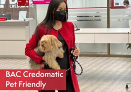 Banca pet friendly - sucursales bac credomatic mascotas bienvenidas
