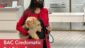 Banca pet friendly - sucursales bac credomatic mascotas bienvenidas