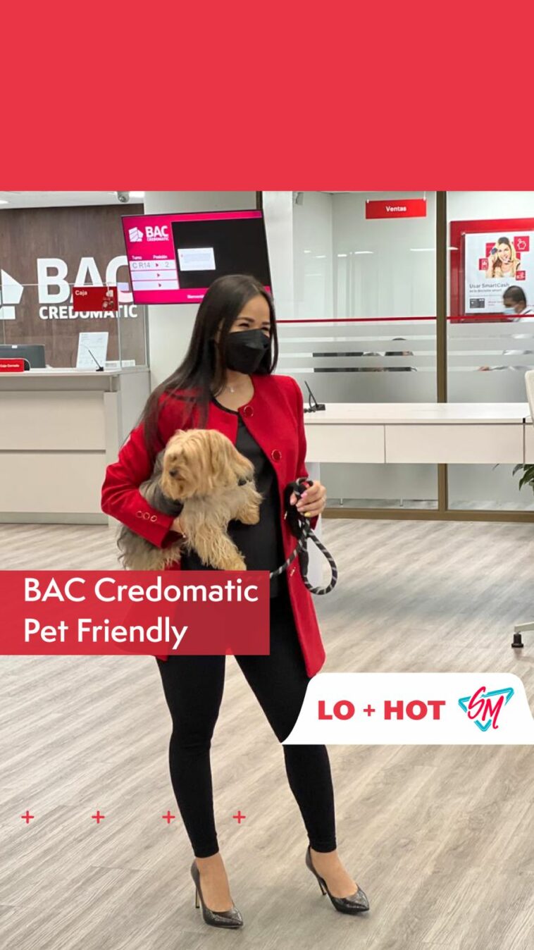 Banca pet friendly - sucursales bac credomatic mascotas bienvenidas