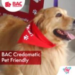 Bienvenida mascotas servicios bancarios - bac sucursales pet friendly