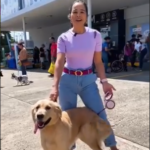 Cuidado para nuestra mascota en casa