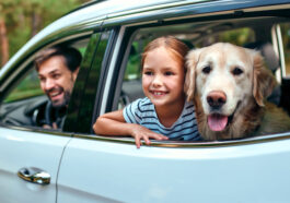 viaje seguro a donde vaya tips supermamás