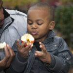 Refrigerios sanos y divertidos para niños 