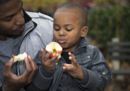 Refrigerios sanos y divertidos para niños