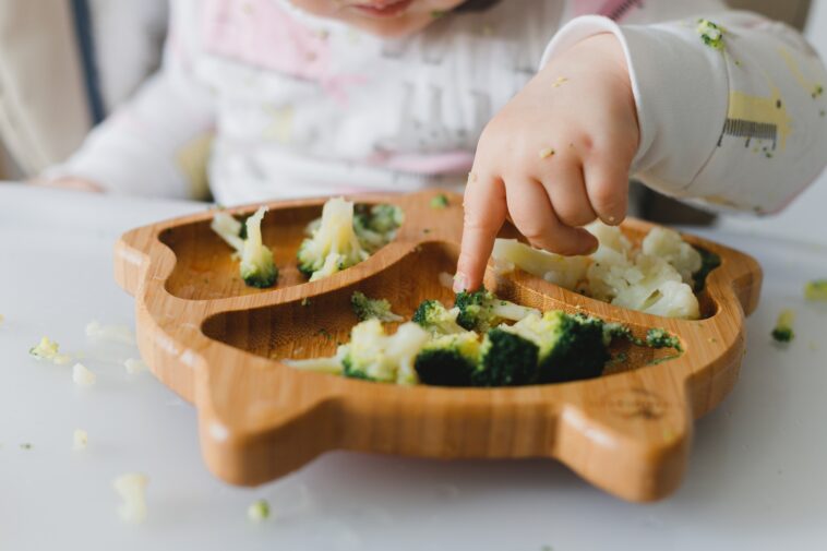 Cómo lograr una alimentación saludable de tu niño